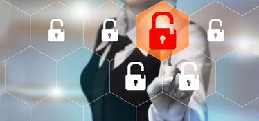 网络与信息安全软件开发 现代数字生活的守护者