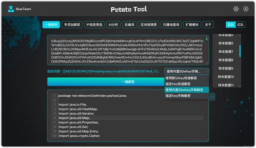 一键解密 网络安全神器如何守护数字时代的信息安全